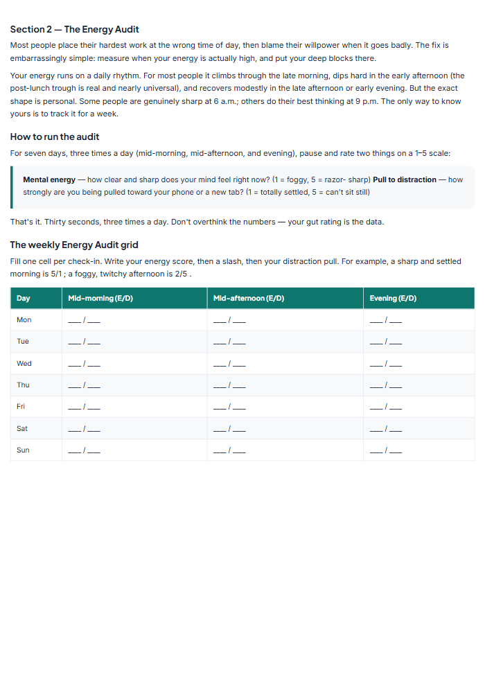 Deep Focus Time-Blocking Workbook & Distraction Planner — sample page 1